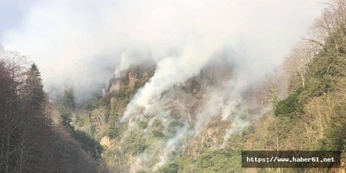 Rize'de orman yangını 3 gündür söndürülemiyor