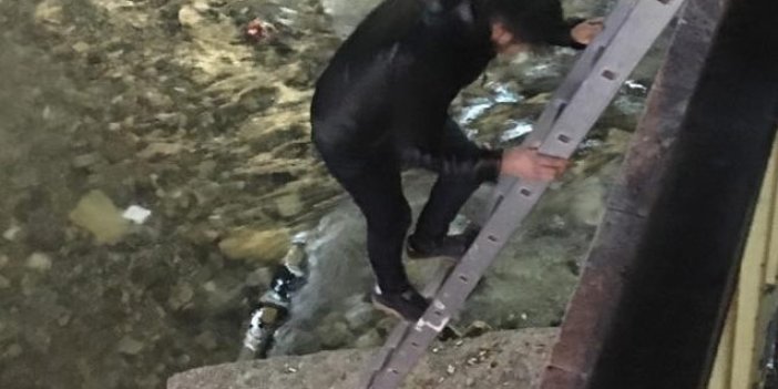 Köprüde mahsur kalan kediyi genç adam kurtardı