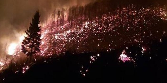 Karadeniz'deki orman yangınlarında 'kuraklık' etkisi