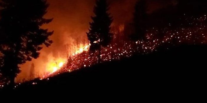 Trabzon'da orman yangınına sebep olan Afgan sınır dışı edildi
