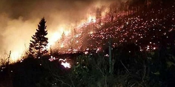 Trabzon’daki Orman yangınlarının nedenleri belli oldu