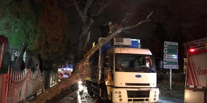 Üsküdar'da korkutan kaza kamyon ağaca çarptı