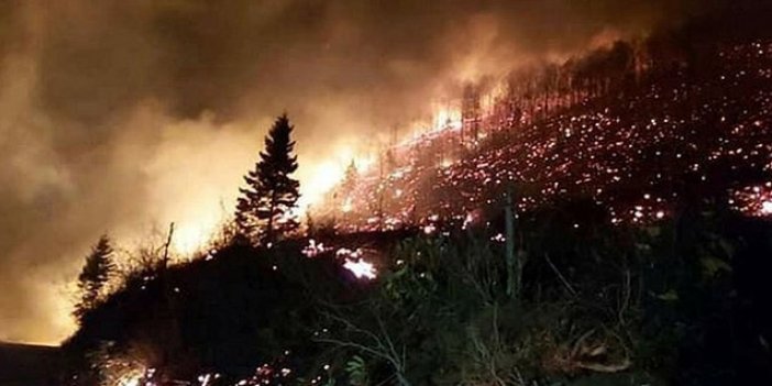 Trabzon'daki yangınlara sebep olanlar bedelini ödeyecek