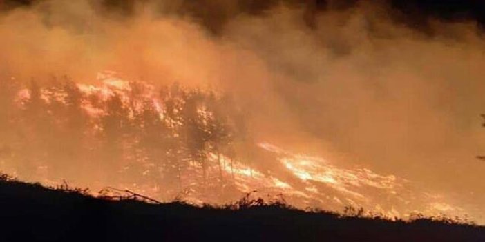6 saatlik orman yangını! 20 hektar alan kül oldu