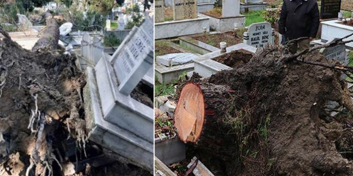 Ordu'da fırtınada devrilen ağaçlar mezarlara zarar verdi