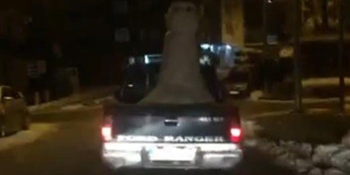 Trabzon'da görenleri şaşırtan kamyonet