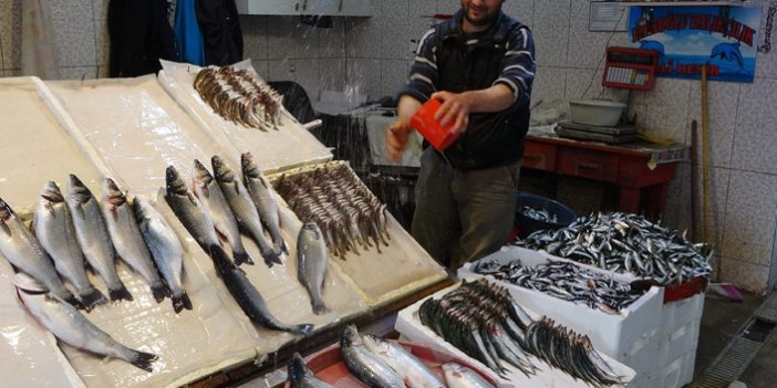 Trabzon'da yerli balık kalmadı