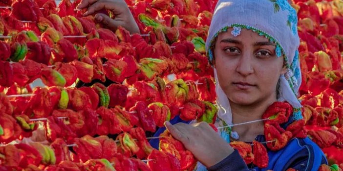 Türkiye'de kadınların yüzde 41.3'ü kayıt dışı çalışıyor