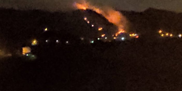 Trabzon'da orman yangını! Ekipler olay yerinde!