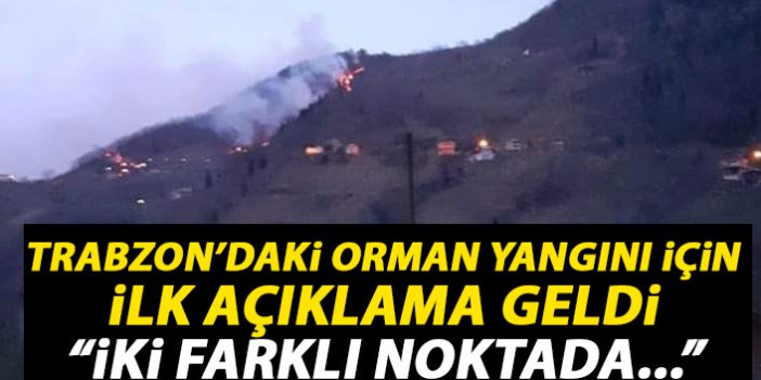 Trabzon'daki orman yangını ile alakalı ilk açıklama geldi