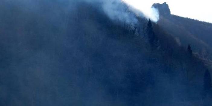 Trabzon'daki orman yangınları kontrol altında