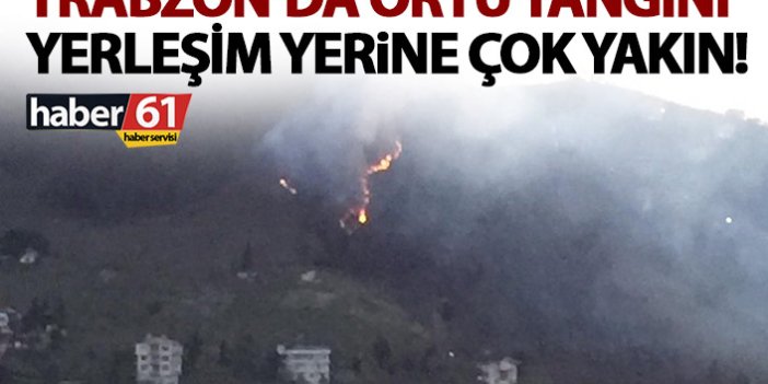 Trabzon'da bir örtü yangını daha! Yakınında evler var!