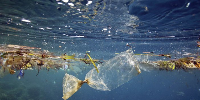 Denizler plastik tehlikesi altında