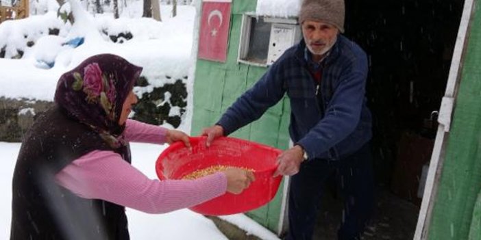 Trabzon'da koronavirüs önlemi köye gitmek oldu