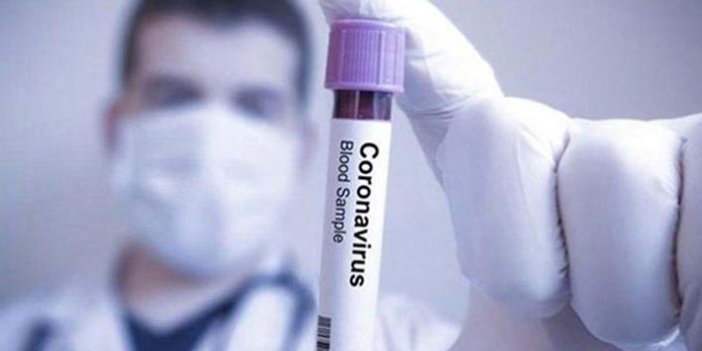 Gürcistan’da koronavirüs nedeniyle OHAL ilan edildi