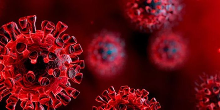 Dünya Sağlık Örgütü koronavirüs aşısı için tarih verdi!