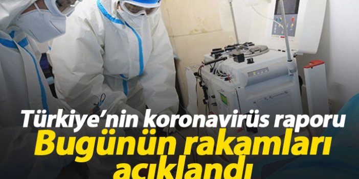 Türkiye'de koronavirüs raporu - İşte günün tablosu