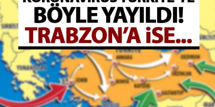 Koronavirüs Türkiye'ye böyle yayıldı! Trabzon'a nasıl ulaştı?
