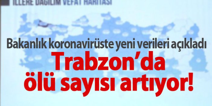 Hangi ilde kaç kişi koronavirüsten öldü? Trabzon'da 10'a yaklaştı...