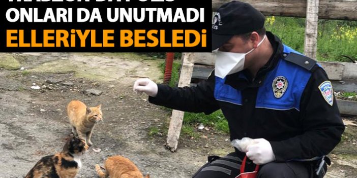 Trabzon'da polis sokak hayvanlarını da unutmadı!
