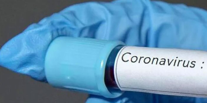 Heyecanlandıran açıklama: Koronavirüsü 48 saatte yeniyor