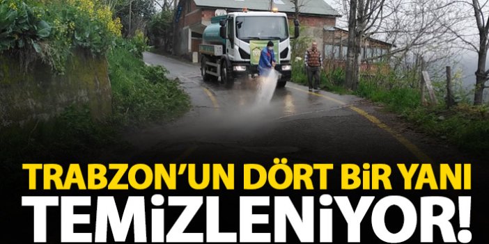 Trabzon'un dört bir yanı temizleniyor