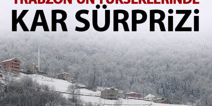 Trabzon'un yükseklerine kar yağdı