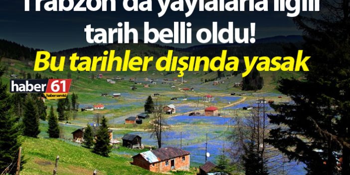 Trabzon’da yaylalarla ilgili tarih belli oldu! Bu tarihler dışında yasak