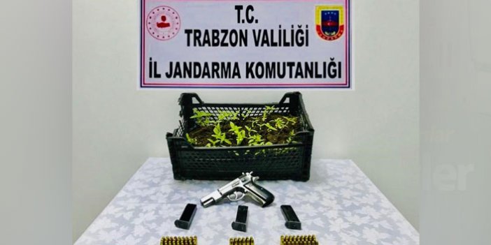 Trabzon’da istihbarat geldi, Jandarma bastı