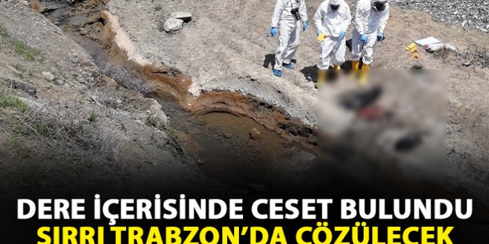 Bulunan cesedin sırrı Trabzon'da çözülecek