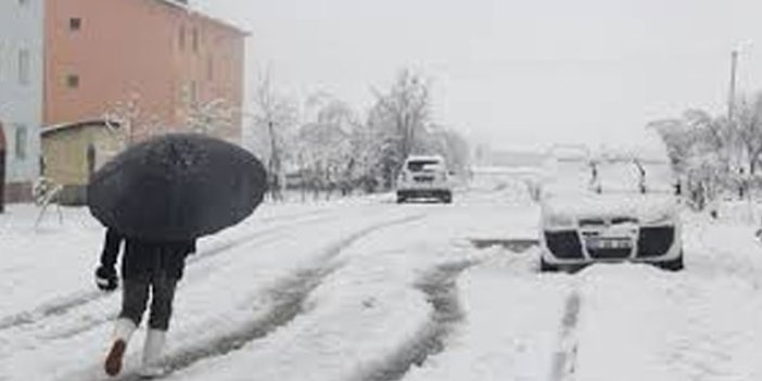 Erzincan ve Bayburt'ta kar yağışı