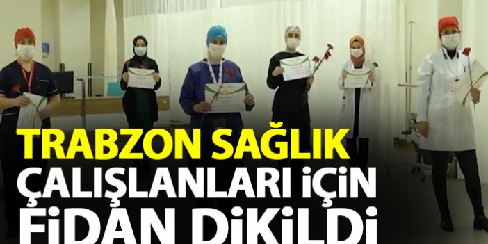 Trabzon'da sağlık kahramanları için fidan dikildi