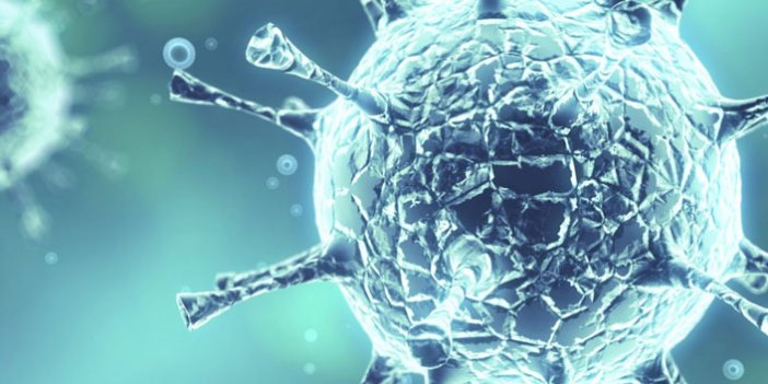 DSÖ'den flaş uyarı: Koronavirüs, HIV gibi kalıcı olabilir