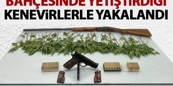 Trabzon’da uyuşturucu üreticisi suçüstü yakalandı