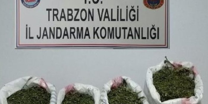 Trabzon'da jandarmadan uyuşturucu baskını