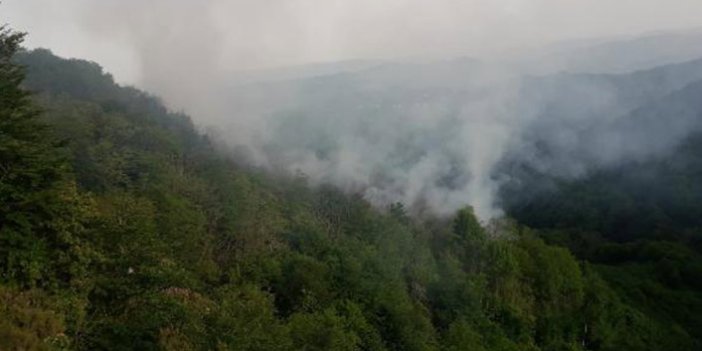 Orman yangını 4 saatte söndürüldü