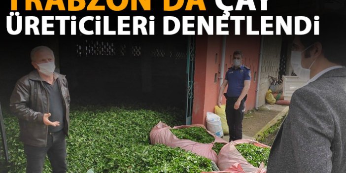 Trabzon'da çay üreticileri denetlendi
