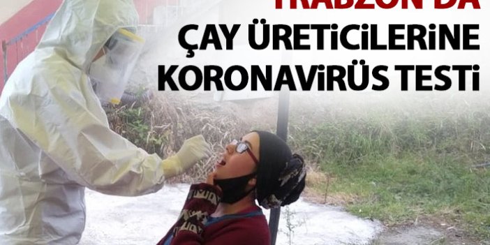 Çay hasadı için Trabzon'a gelenlere test