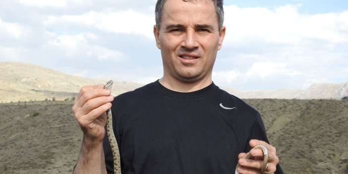 Prof. Dr. Başkaya: "İnsanlarla yılanların karşılaşma ihtimali arttı"