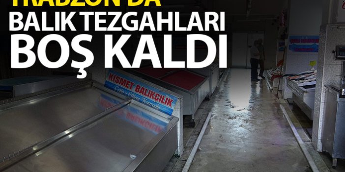 Trabzon’da balıkçı tezgahları boş kaldı