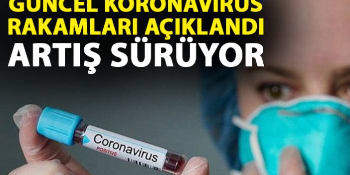 Güncel koronavirüs rakamları açıklandı! - 15 Haziran 2020