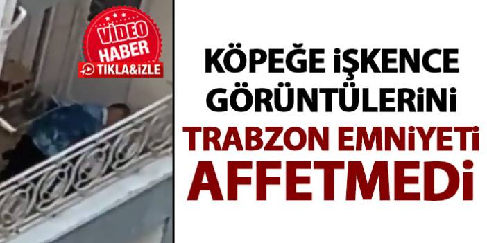Trabzon'da köpeğe şiddet cezasız kalmadı!