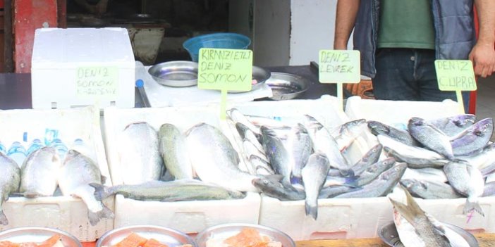 Kültür balıkları tezgahta yerini alıyor