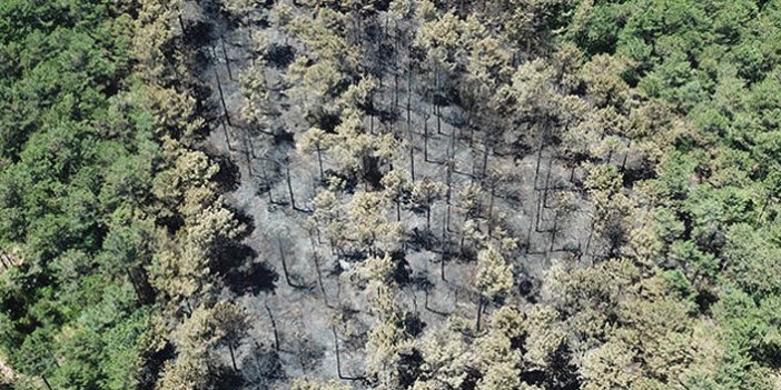 Kayışdağı'da yanan ormanlık alan havadan fotoğraflandı