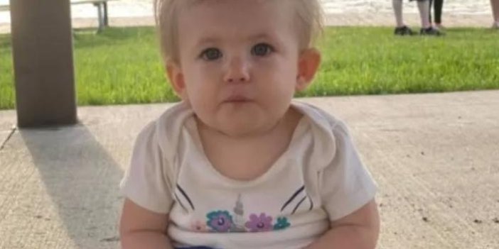 Pitbull dehşeti: 17 aylık bebeği öldürdü