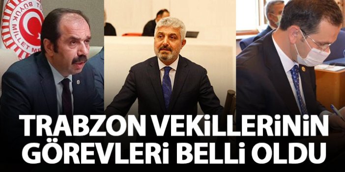 Trabzon Milletvekillerine kritik görevler