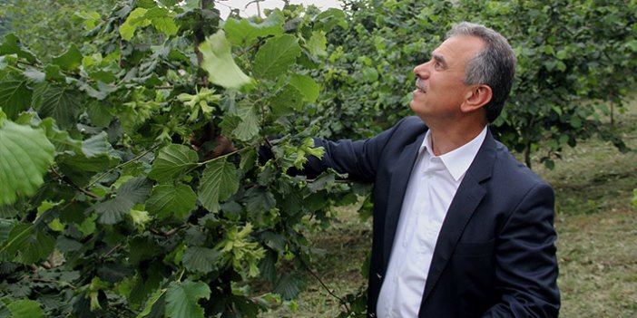 TTB Başkanı Ergan; “Üretimi teşvik edici bir fiyat”