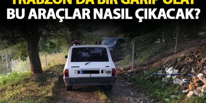 Trabzon’da bir ilginç olay! Araçlar mahsur kaldı