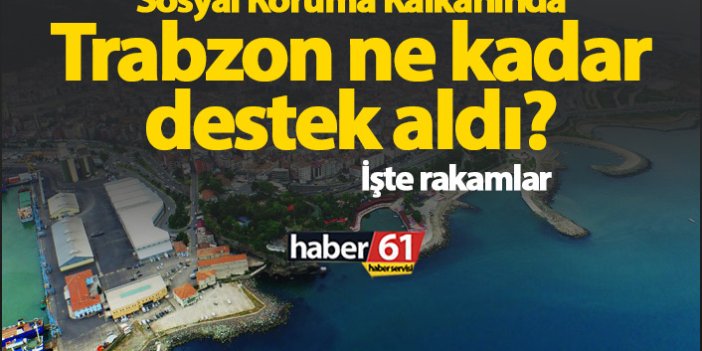 Sosyal koruma kalkanında Trabzon ne kadar destek aldı?