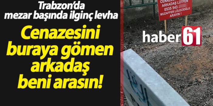 Trabzon'da ilginç levha: Cenazesini buraya gömen beni arasın!
